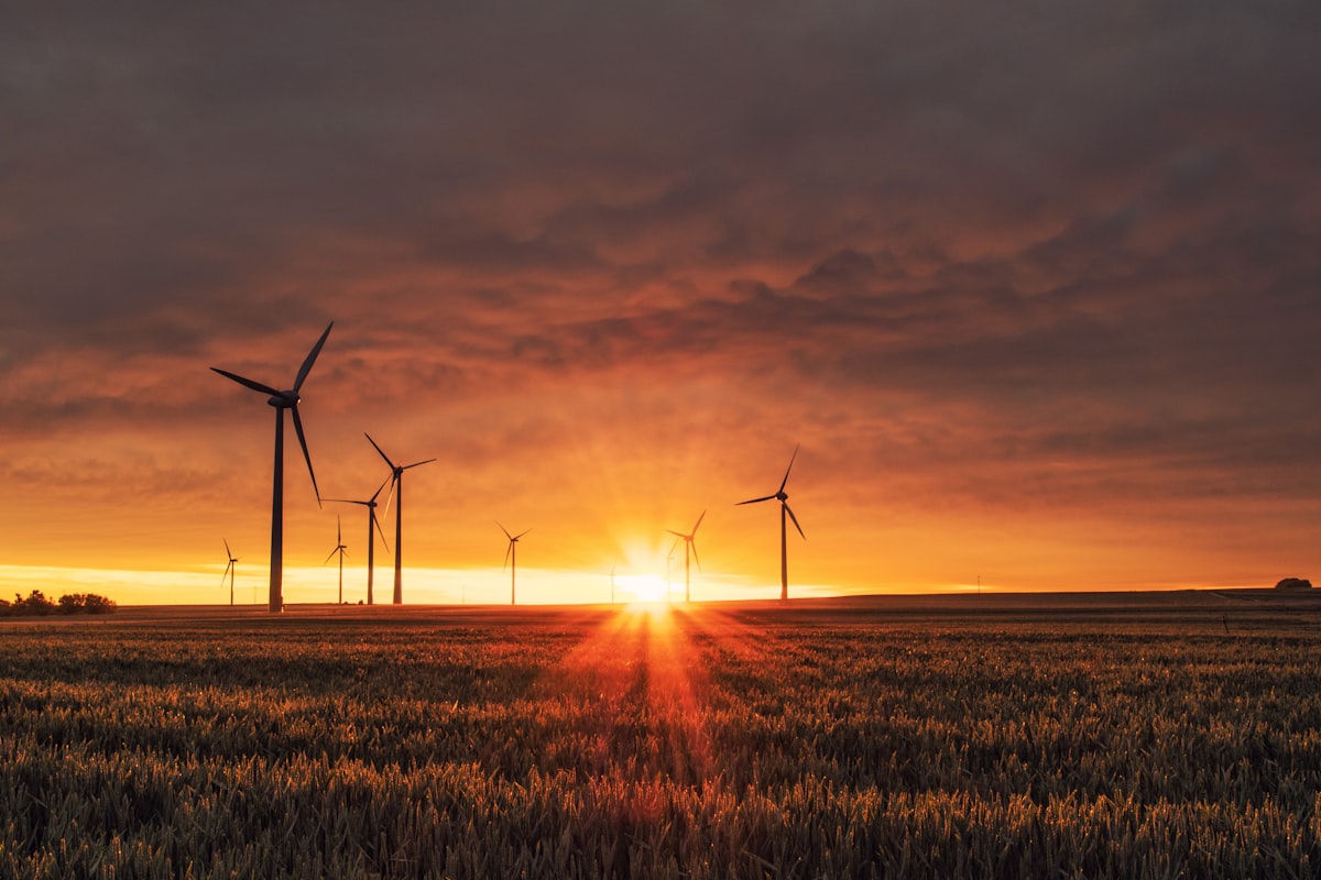Éoliennes au coucher du soleil dans un champ